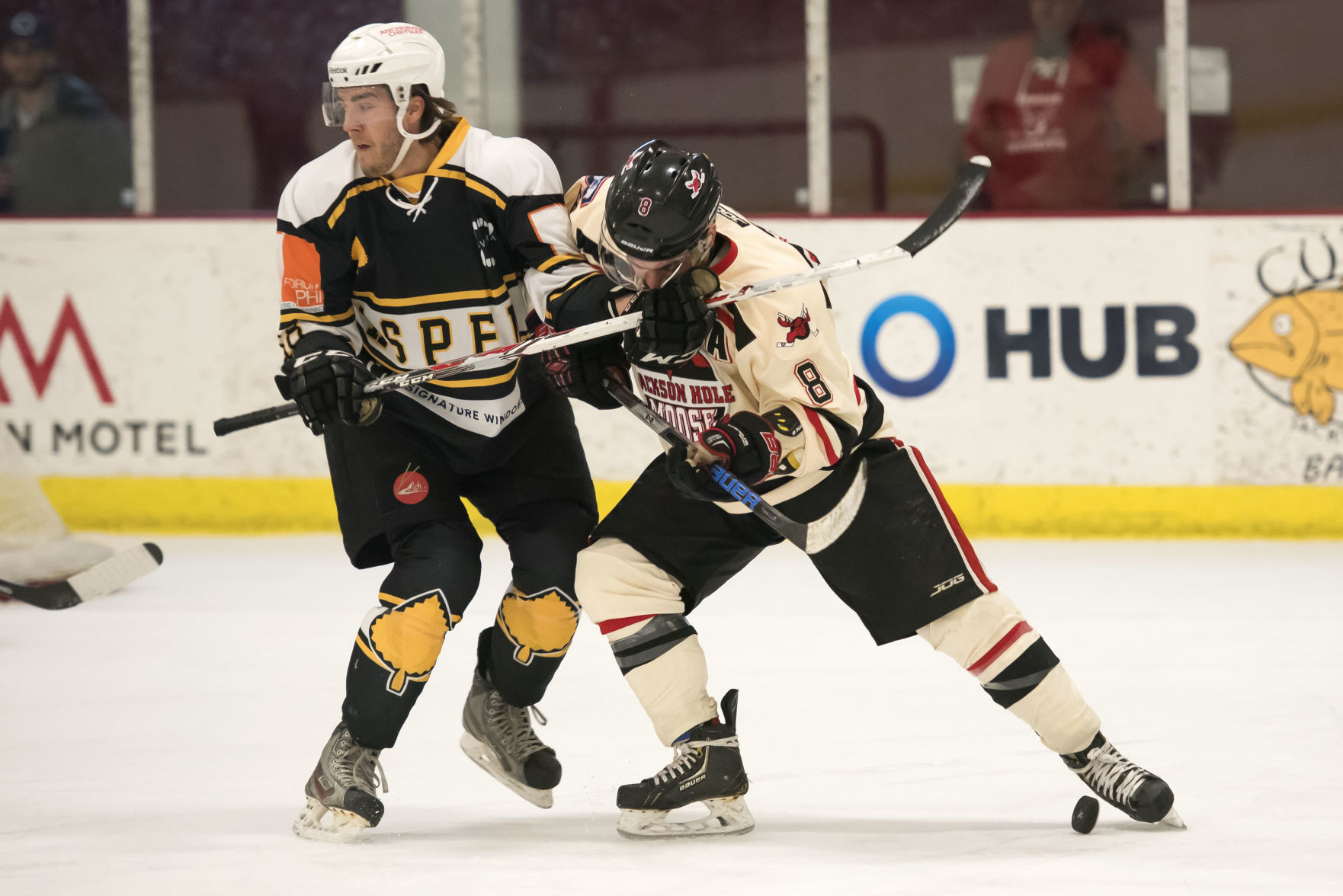 Moose hockey